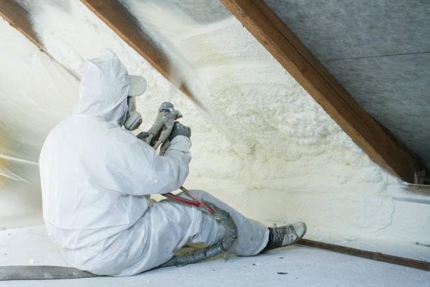 Best Radiant Barrier Insulation  in Beardstown, IL